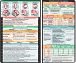 OB Ultrasonography Adhesive Reference Label